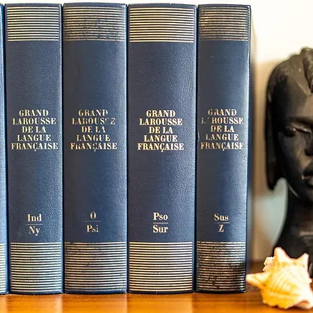 شقة Climatise Les Pieds Dans L'eau Pour 6 Personnes Avec 1 Parentale, 1 Double Et 1 Mini Piscine Sur Le Toit Clim Garage